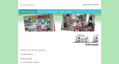 Desktop Screenshot of despringertjes.nl